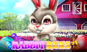 Rabbit Runs