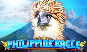 Philippine Eagle