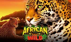 African Wild